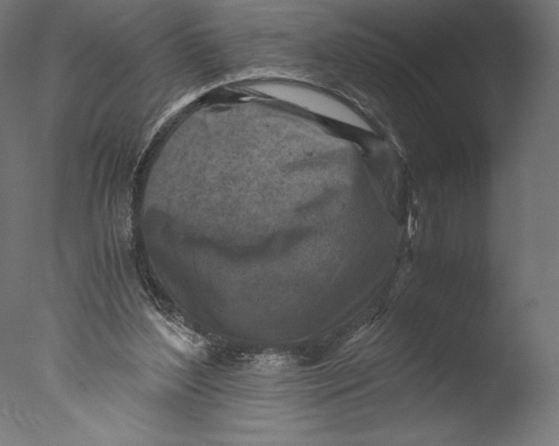 X0000076310204200610201621