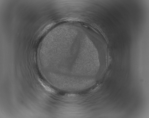 X0000076310205200610201621