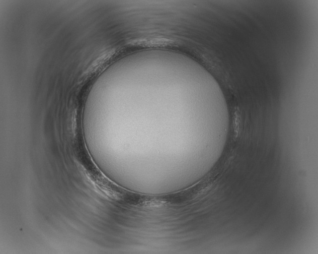 X0000076310206200610201621