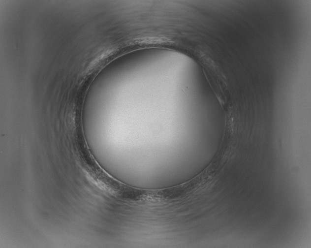 X0000076310207200610201621