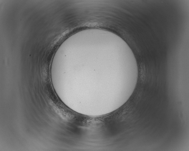 X0000076310208200610201621