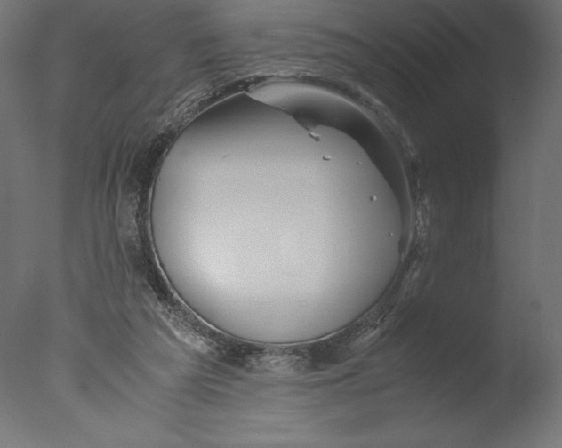 X0000076310209200610201621