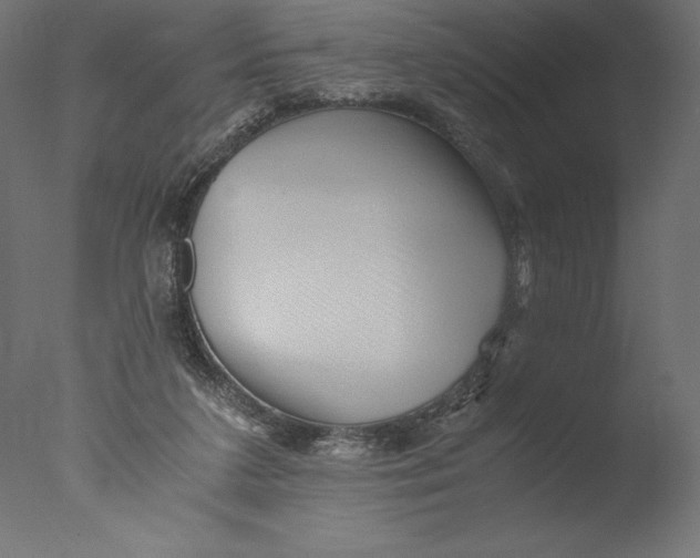 X0000076310211200610201621