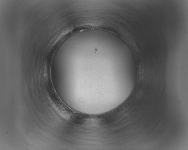 X0000076310212200610201621