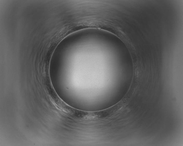 X0000076310213200610201621