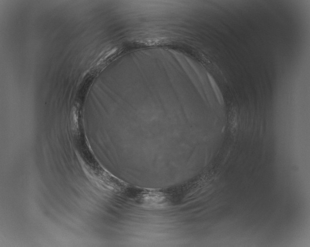 X0000076310214200610201621