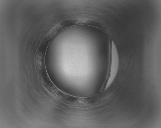 X0000076310215200610201621