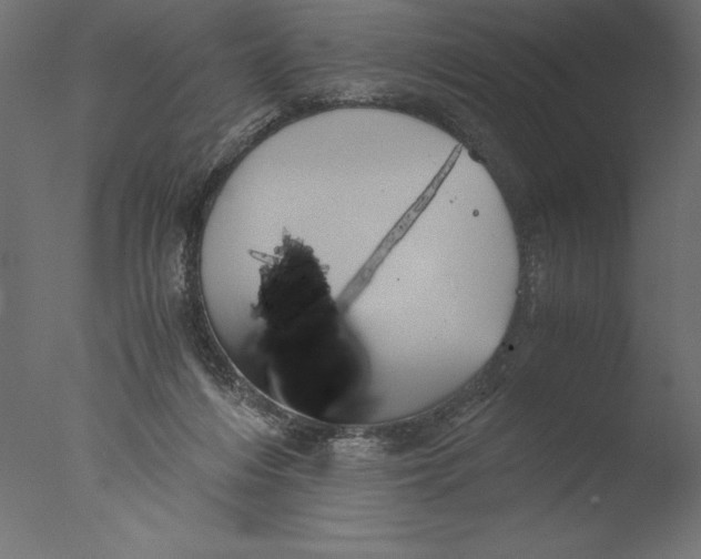 X0000076310216200610201621