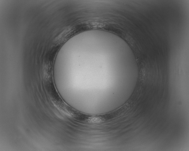 X0000076310218200610201621