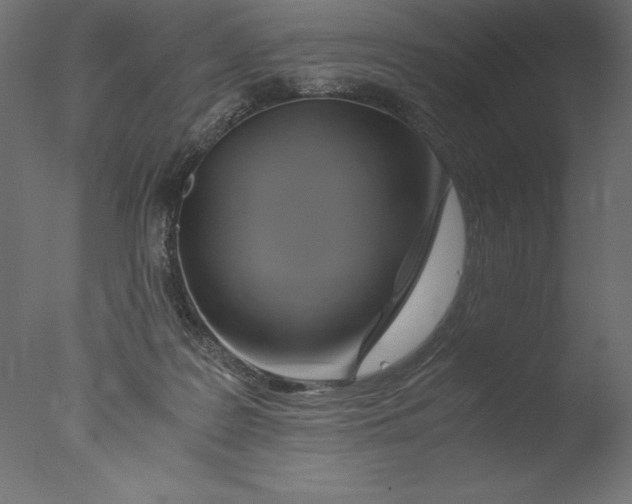 X0000076310219200610201621