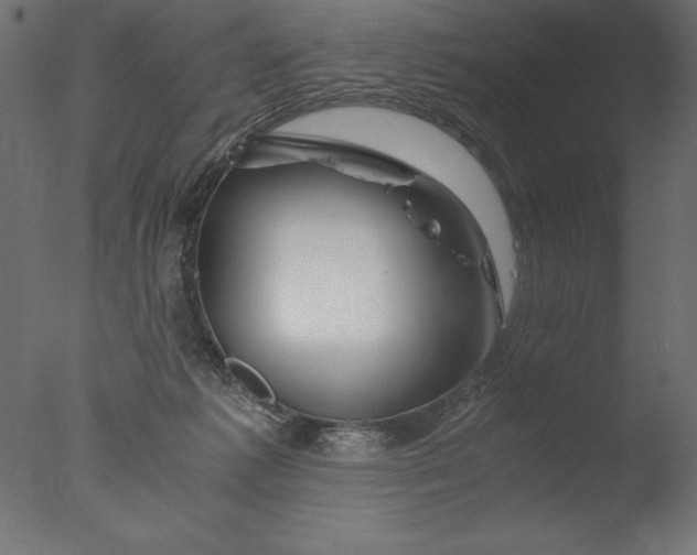 X0000076310221200610201621