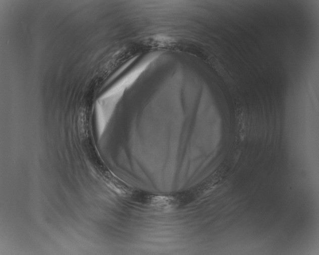 X0000076310222200610201621