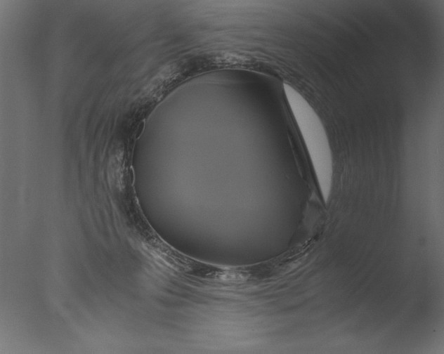 X0000076310223200610201621