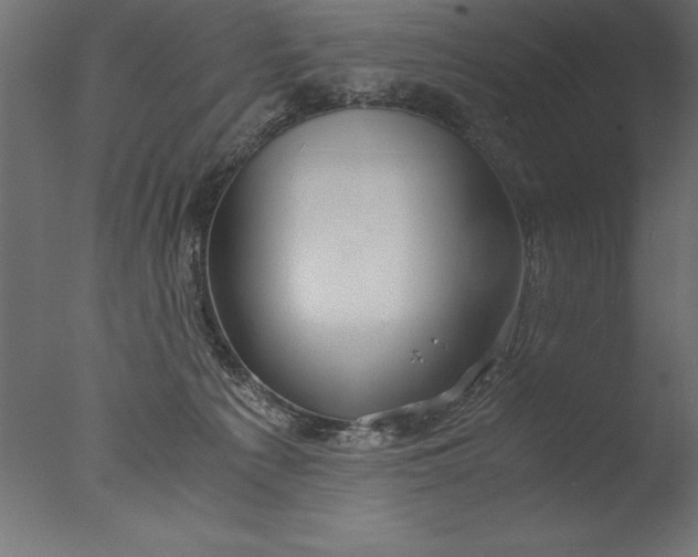 X0000076310225200610201621