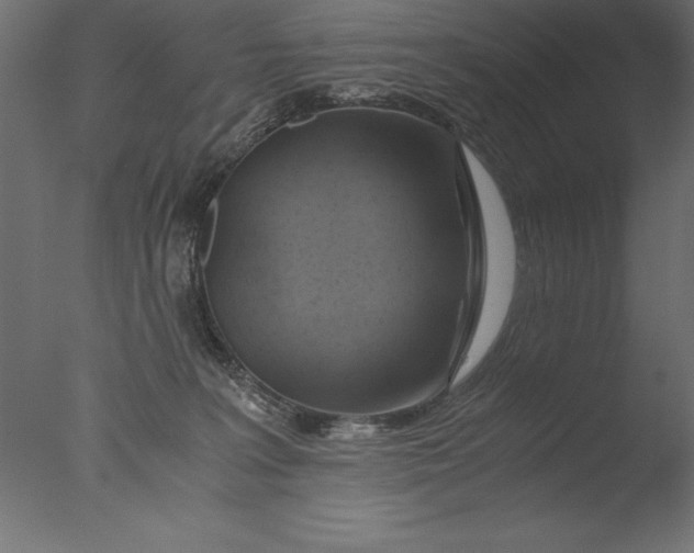 X0000076310227200610201621