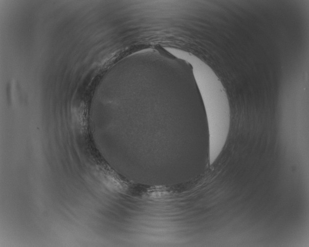 X0000076310228200610201621