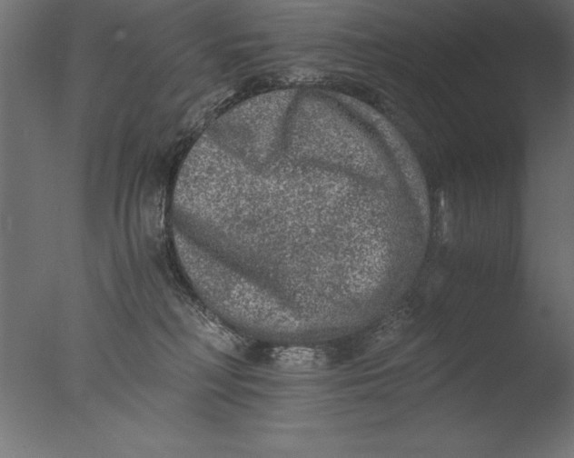 X0000076310230200610201621