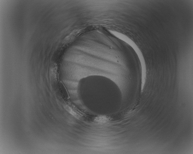 X0000076310231200610201621