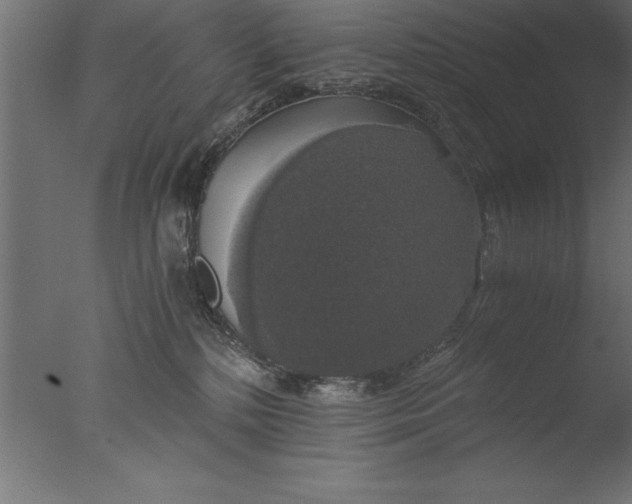 X0000076310232200610201621