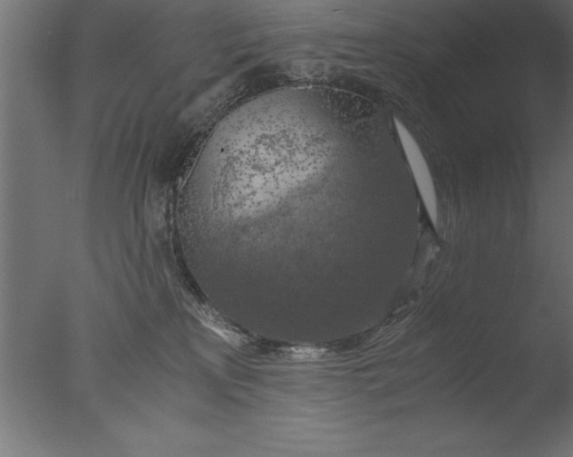 X0000076310233200610201621