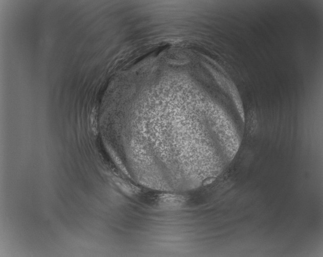 X0000076310234200610201621