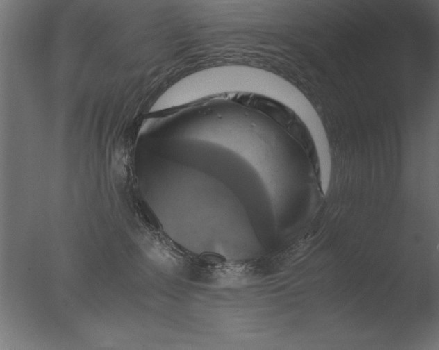 X0000076310235200610201621