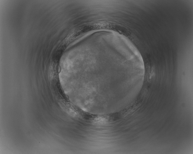 X0000076310236200610201621