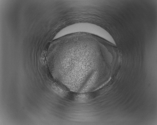 X0000076310237200610201621