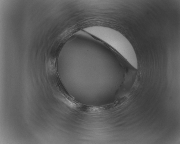 X0000076310239200610201621