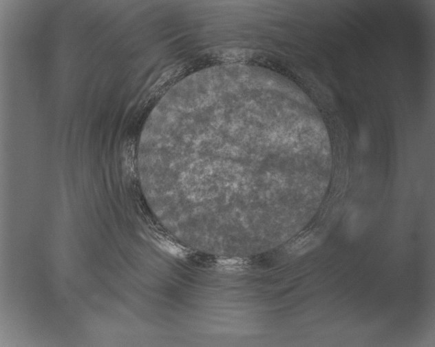 X0000076310240200610201621