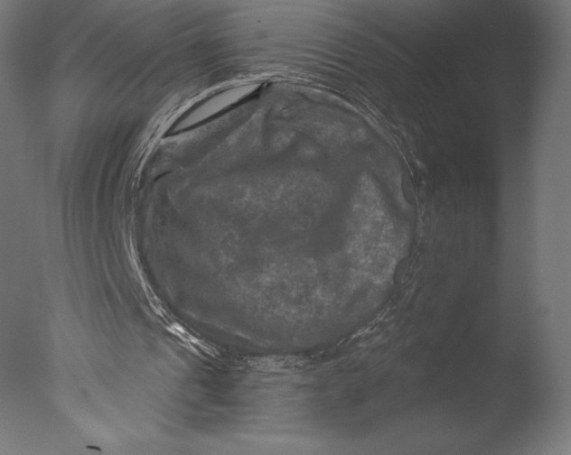 X0000076310241200610201620