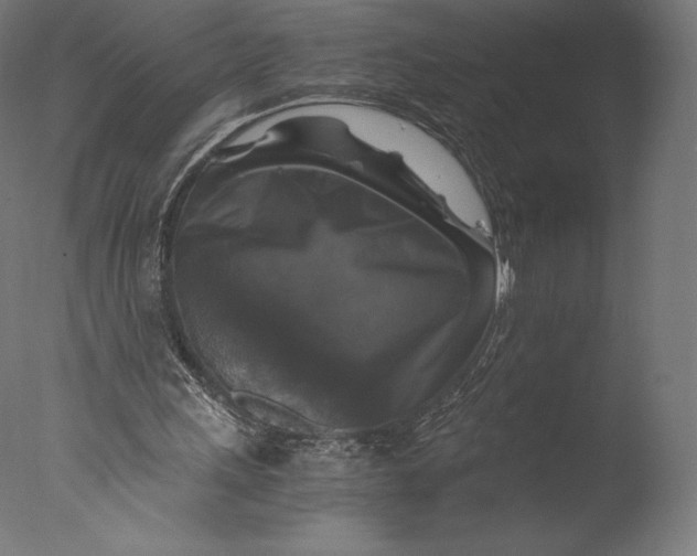 X0000076310243200610201620