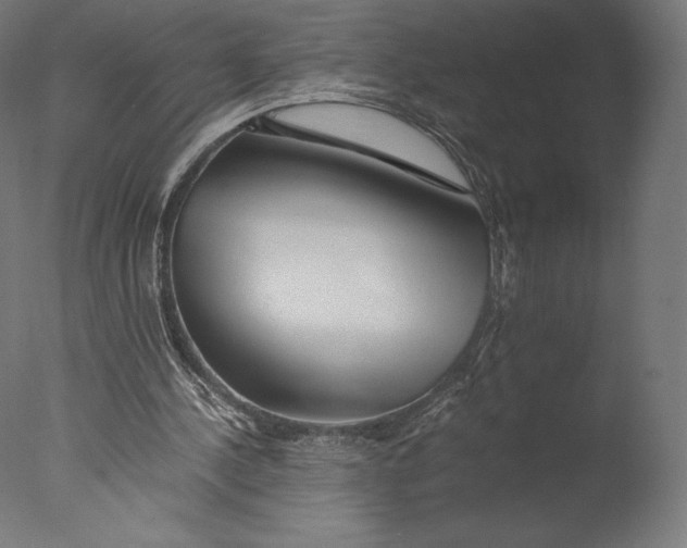 X0000076310244200610201620