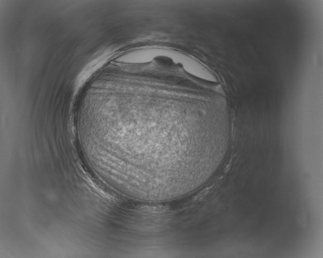 X0000076310245200610201620