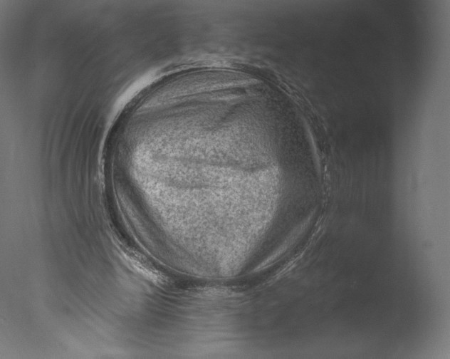 X0000076310246200610201620