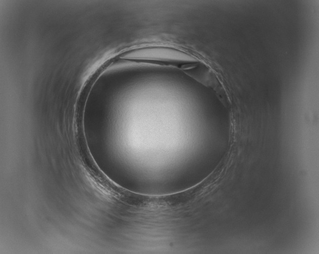 X0000076310248200610201620