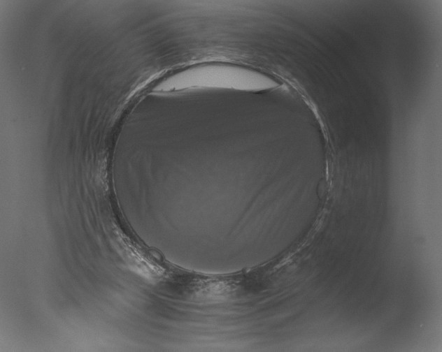 X0000076310249200610201620