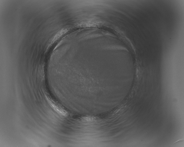 X0000076310250200610201620