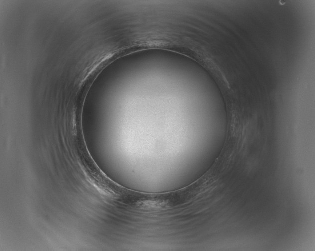 X0000076310251200610201620