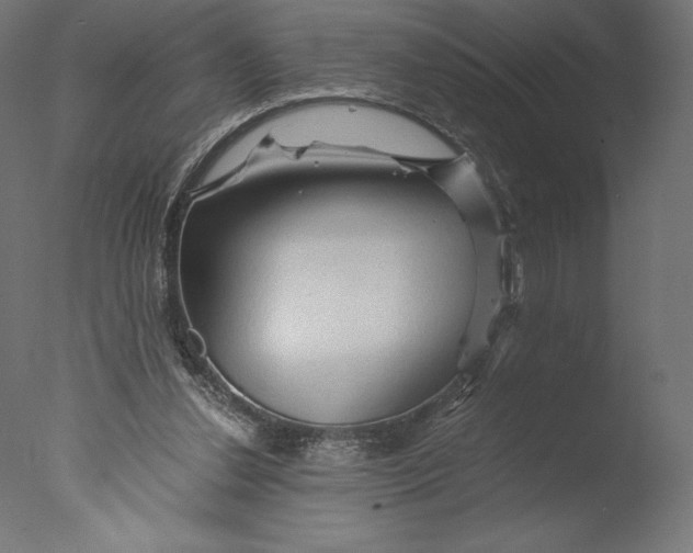 X0000076310252200610201620