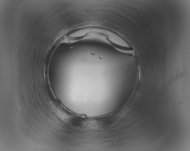 X0000076310253200610201620