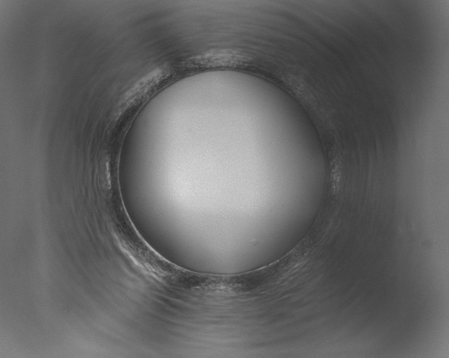 X0000076310254200610201620