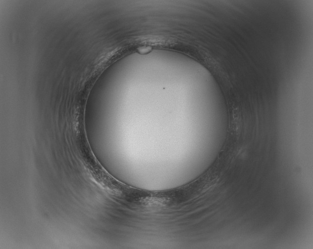 X0000076310255200610201620