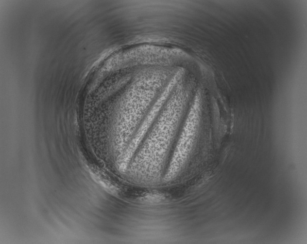 X0000076310256200610201620