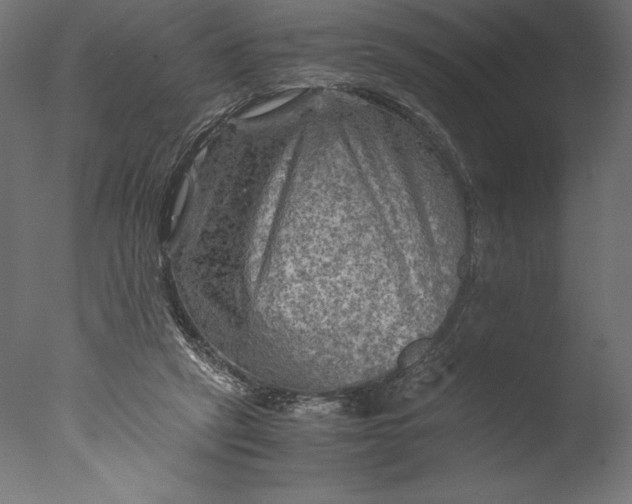 X0000076310257200610201620