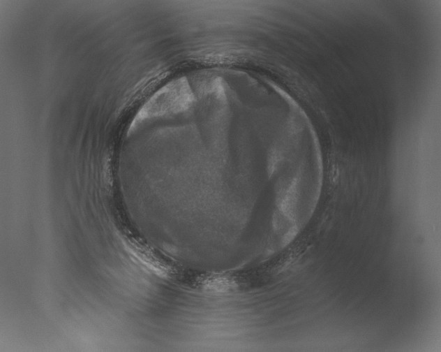 X0000076310258200610201620