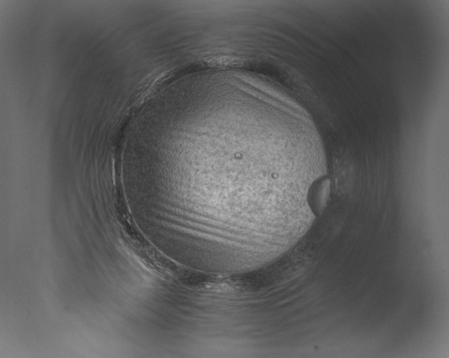 X0000076310259200610201620