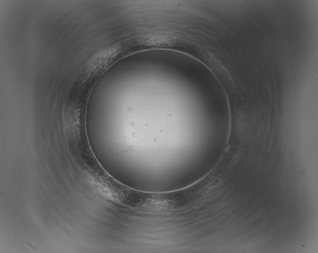 X0000076310260200610201620