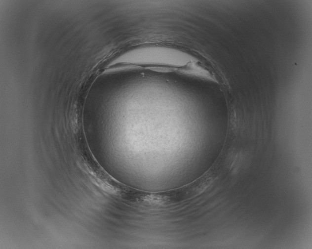 X0000076310261200610201620