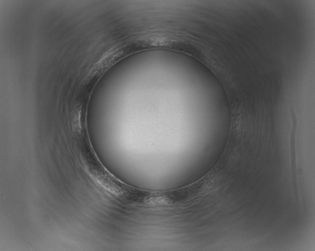 X0000076310262200610201620